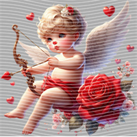 Valentine's Day-QRJ  2465